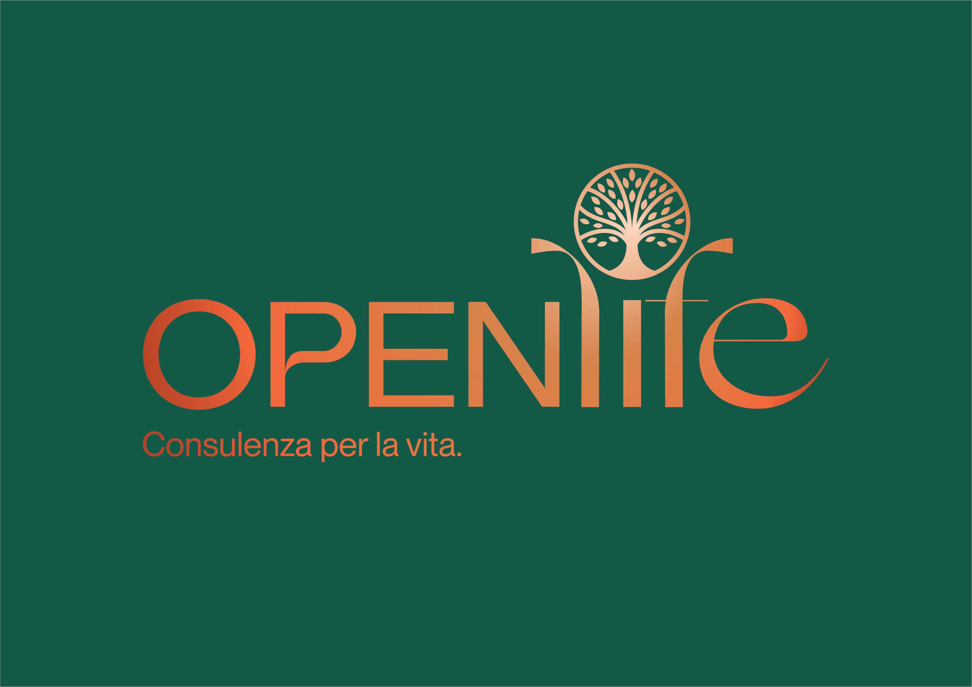Openlife Consulting